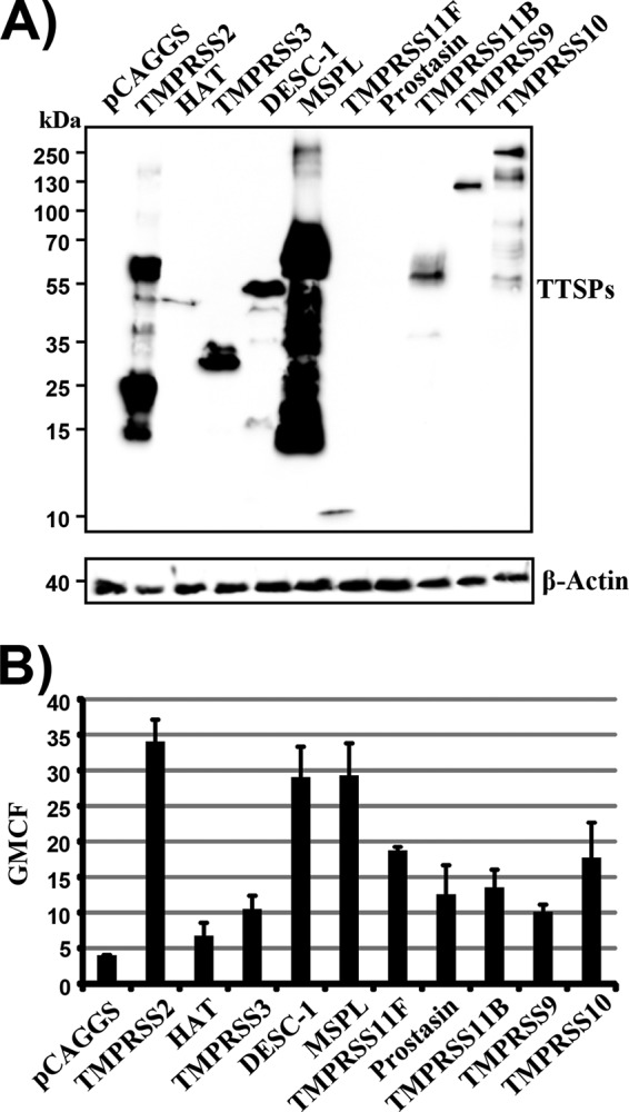 FIG 1