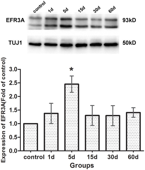 Fig 8