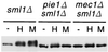 FIG. 7