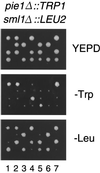 FIG. 4