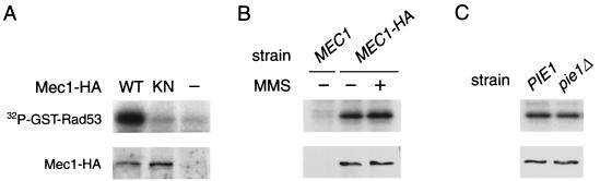 FIG. 10