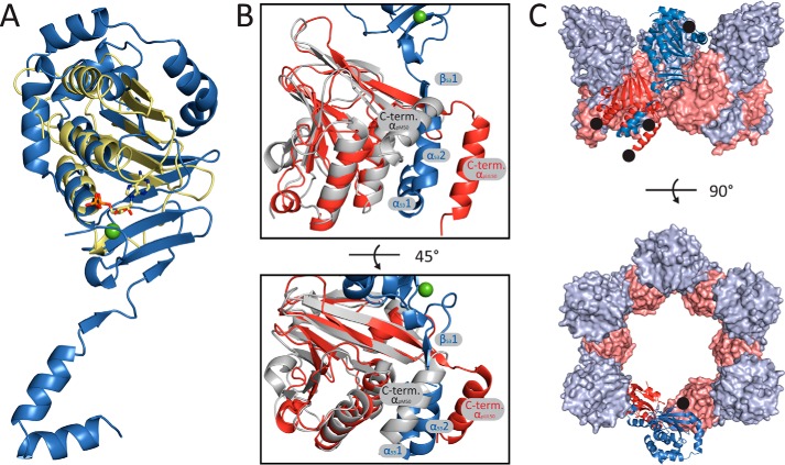 FIGURE 2.