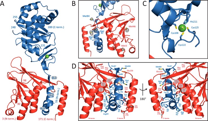 FIGURE 1.