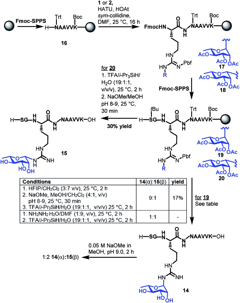 Scheme 3