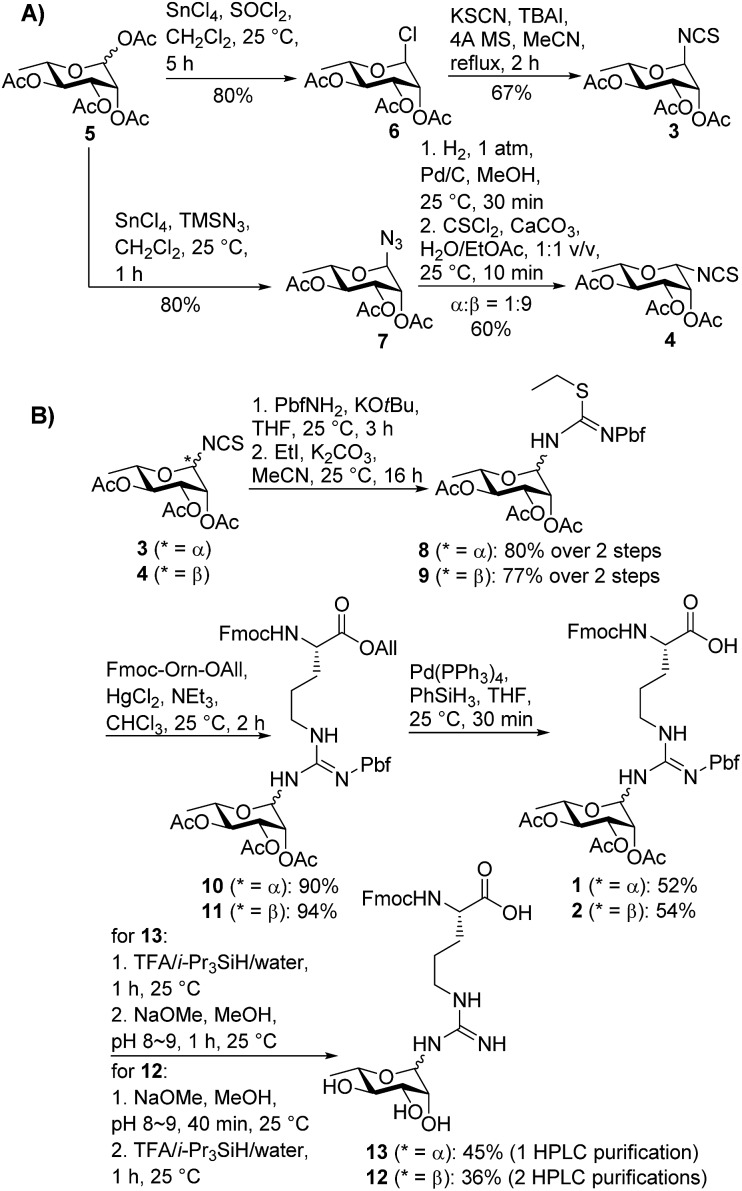 Scheme 1