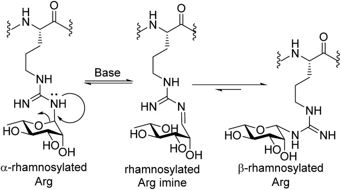 Scheme 2