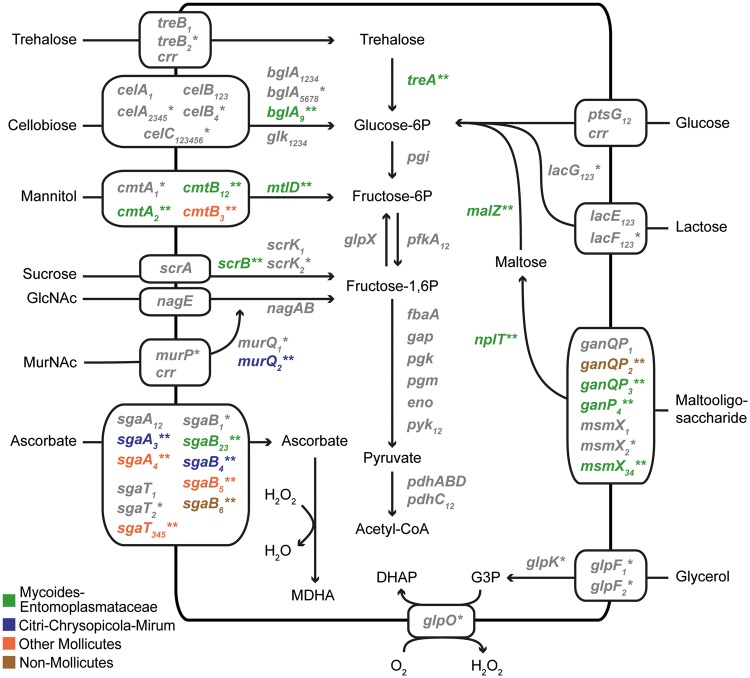 Fig. 4.—