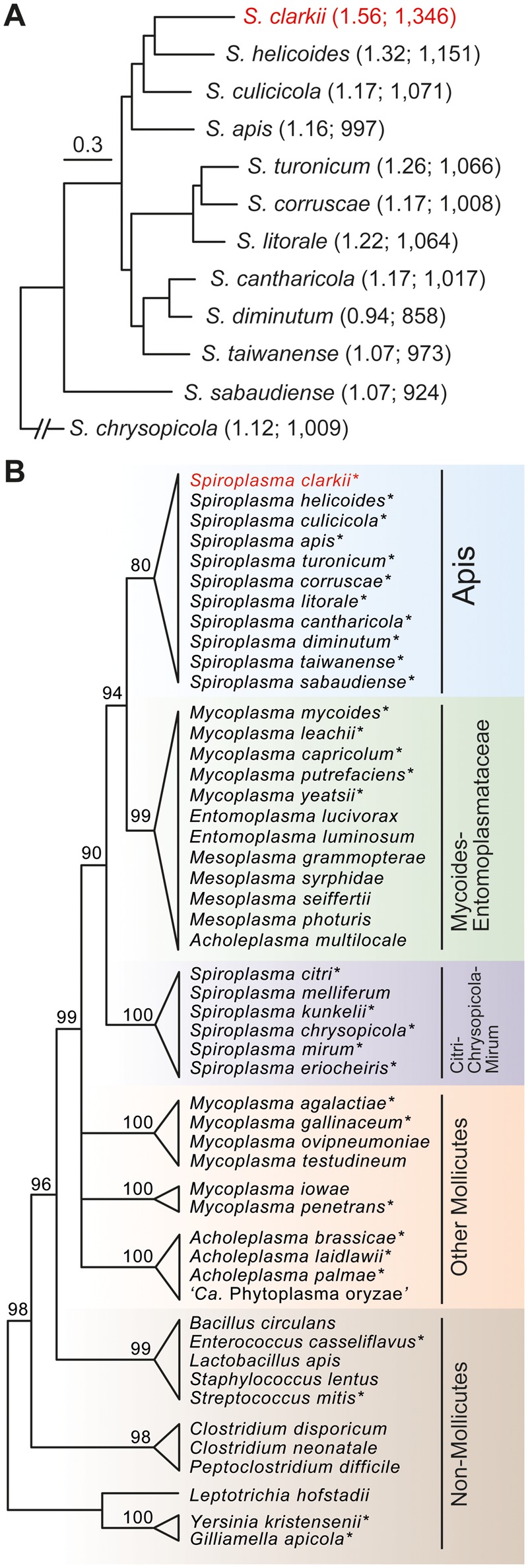 Fig. 1.—