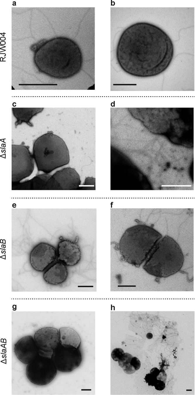 FIG 2