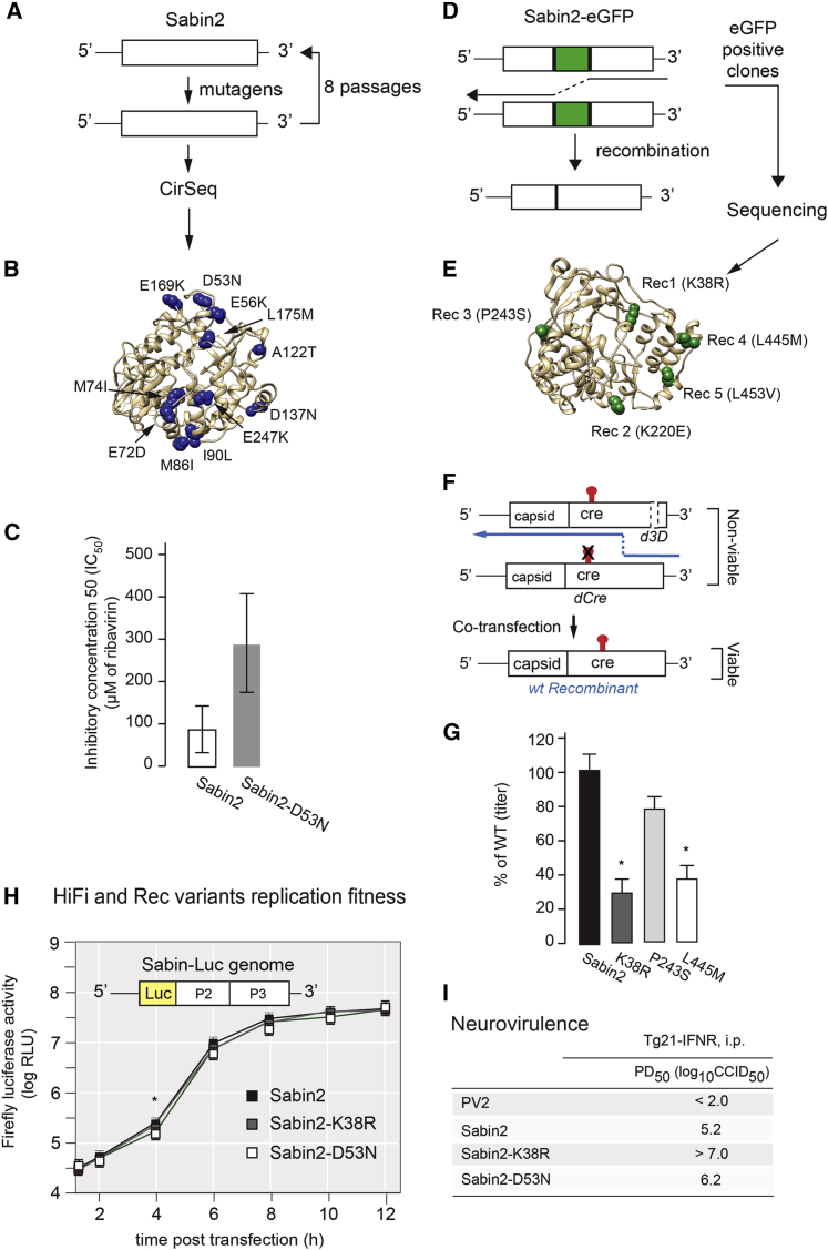 Figure 2