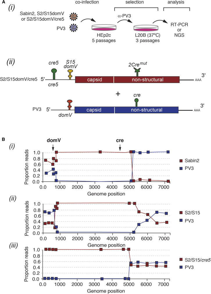 Figure 5