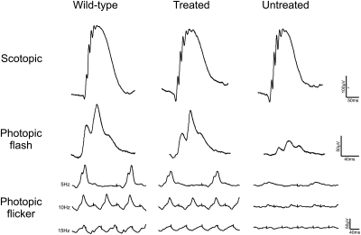 Figure 3.