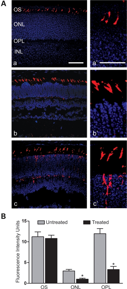 Figure 9.