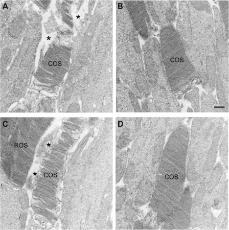 Figure 10.