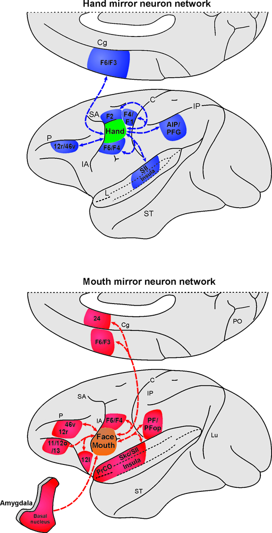 Figure 7.