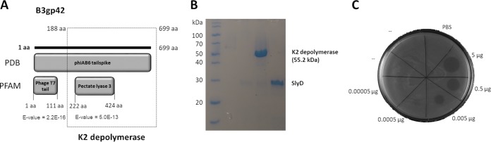 FIG 1