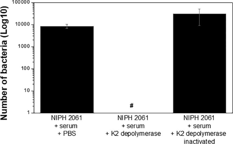 FIG 6