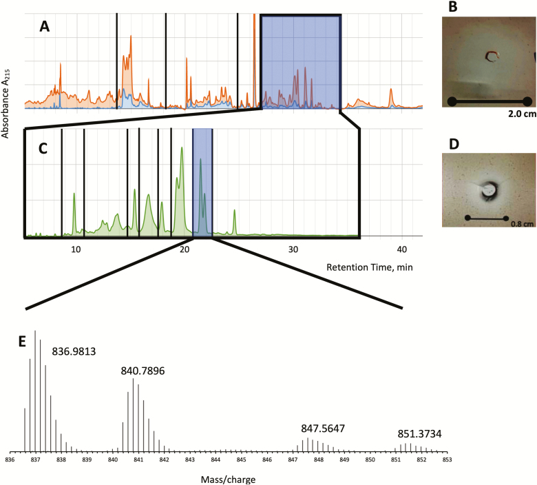 Fig. 2.