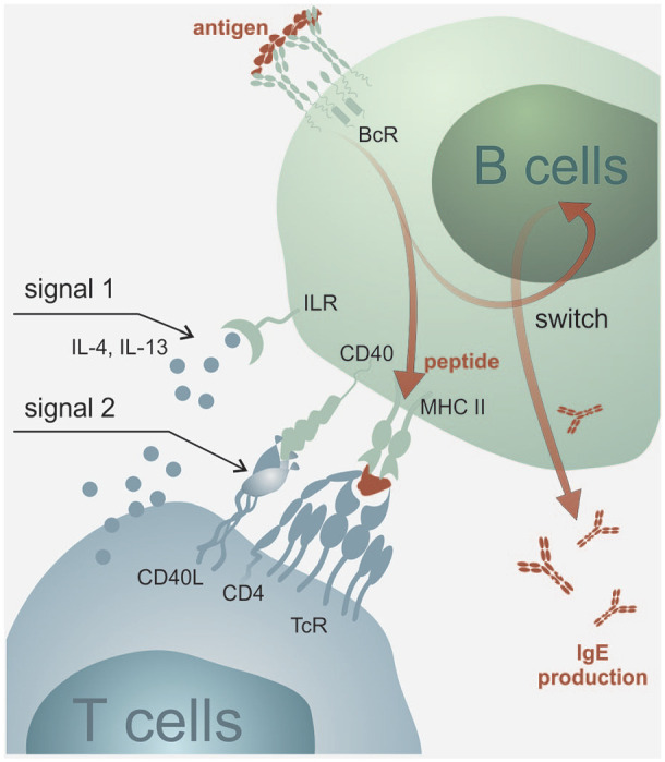 Figure 2.