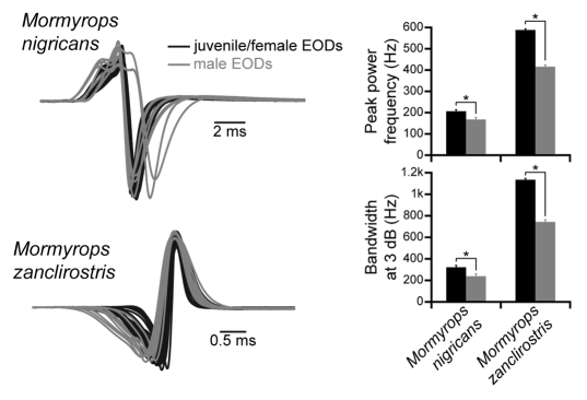 Figure 3.