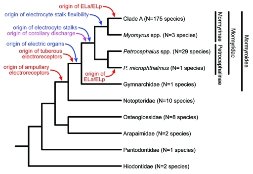 Figure 1.