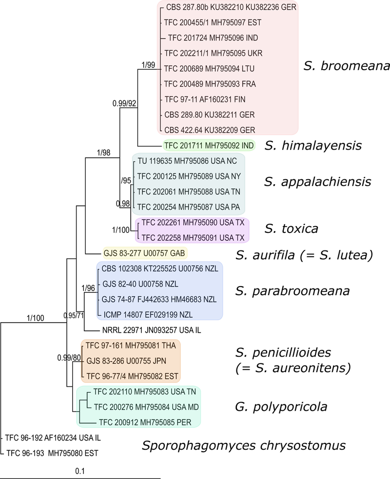 Fig. 1