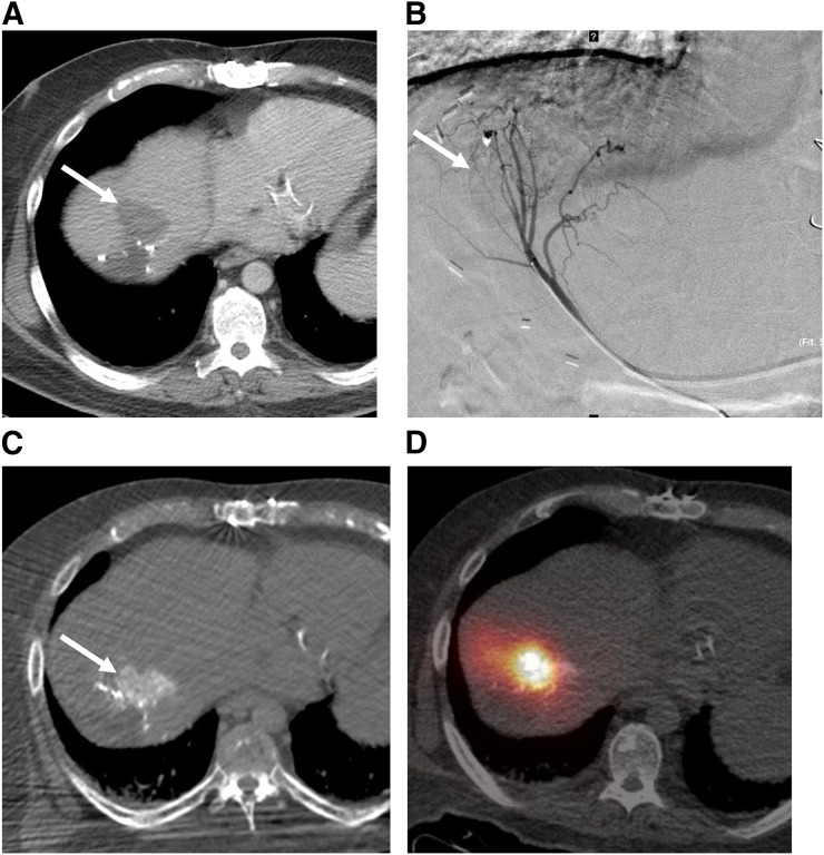 FIGURE 1.