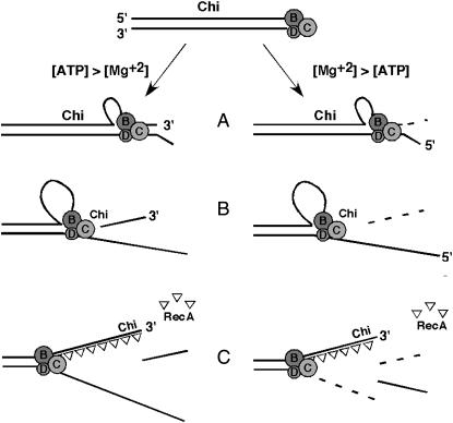 Figure 1.—