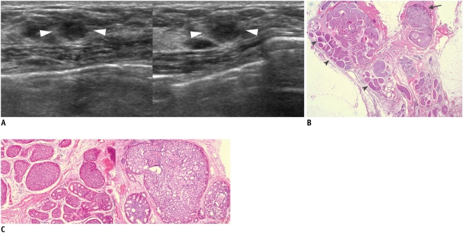 Fig. 9