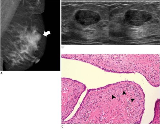 Fig. 10