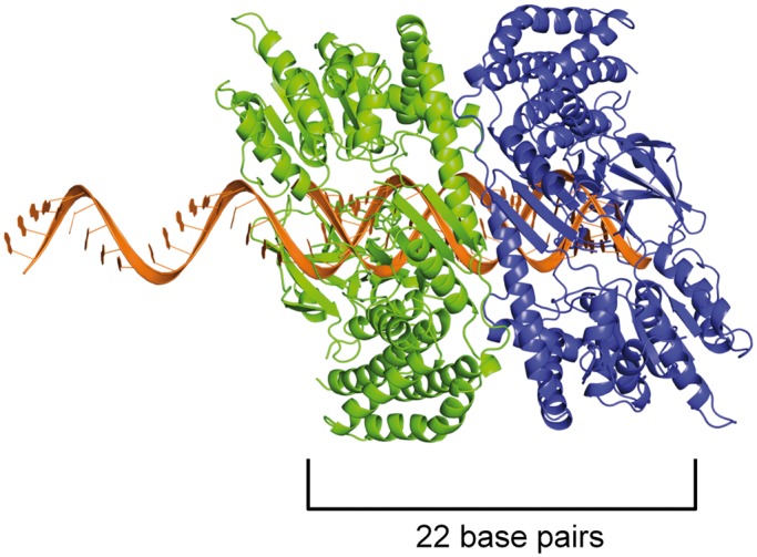 Figure 5.