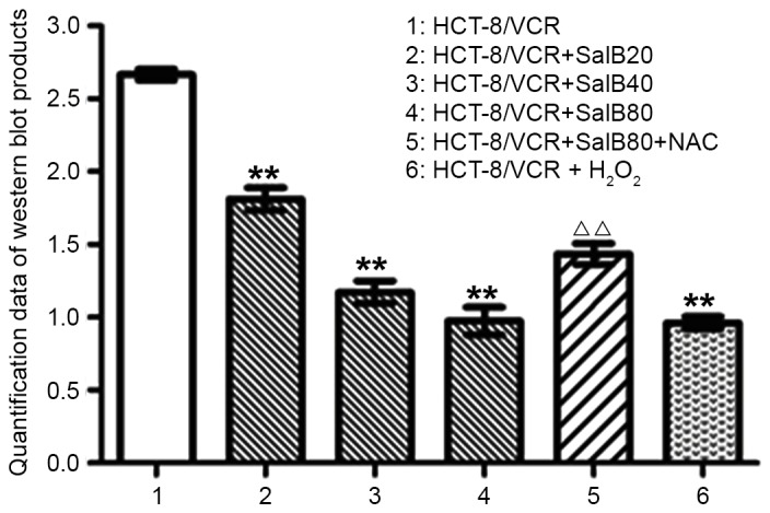 Figure 6.