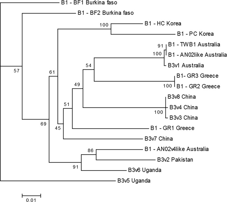 Fig 6