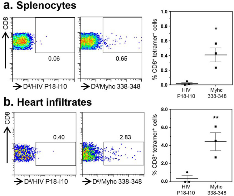 Figure 4: