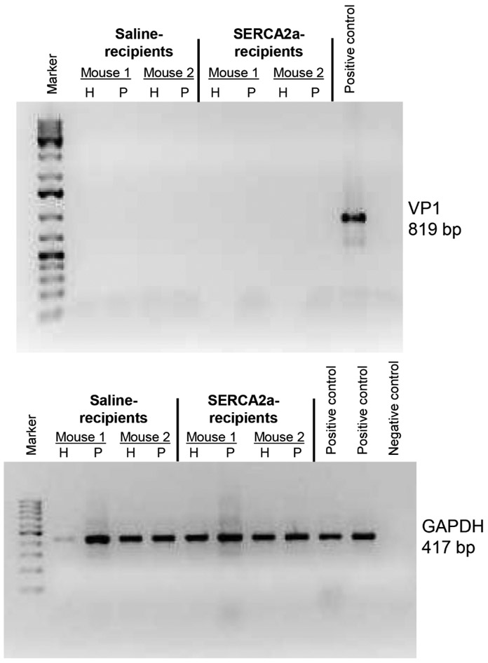 Figure 6: