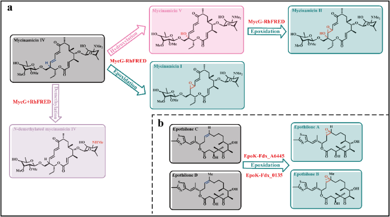 Fig. 2