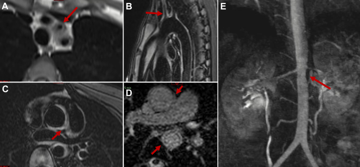 Figure 5