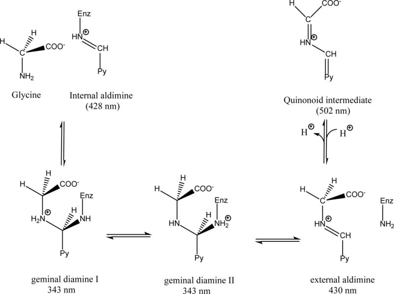 Scheme 1