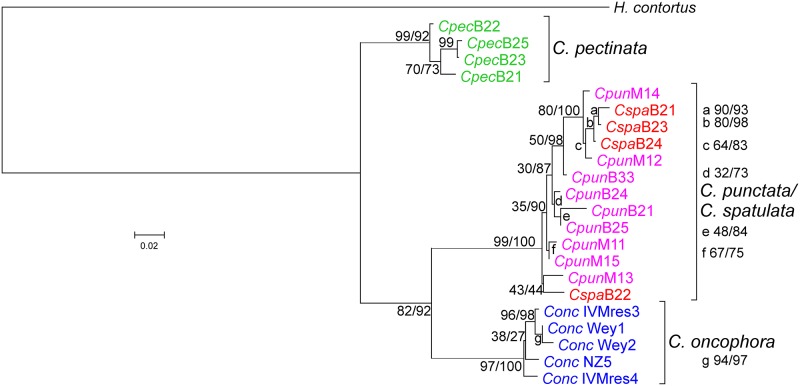 Fig 6