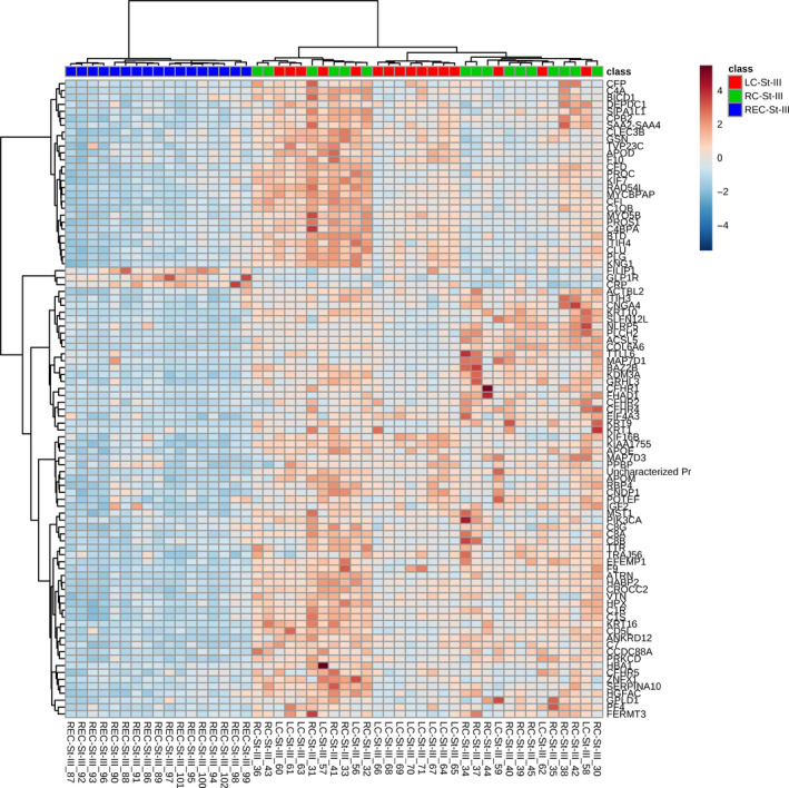 FIGURE 3