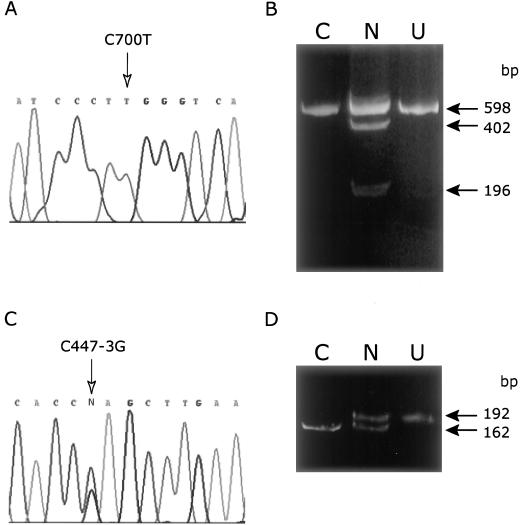 Figure  4