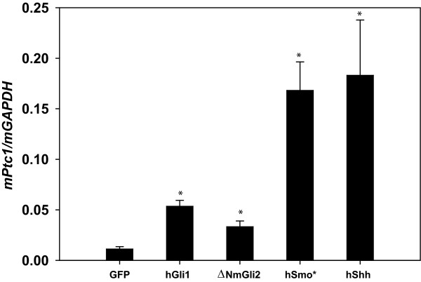 Figure 5