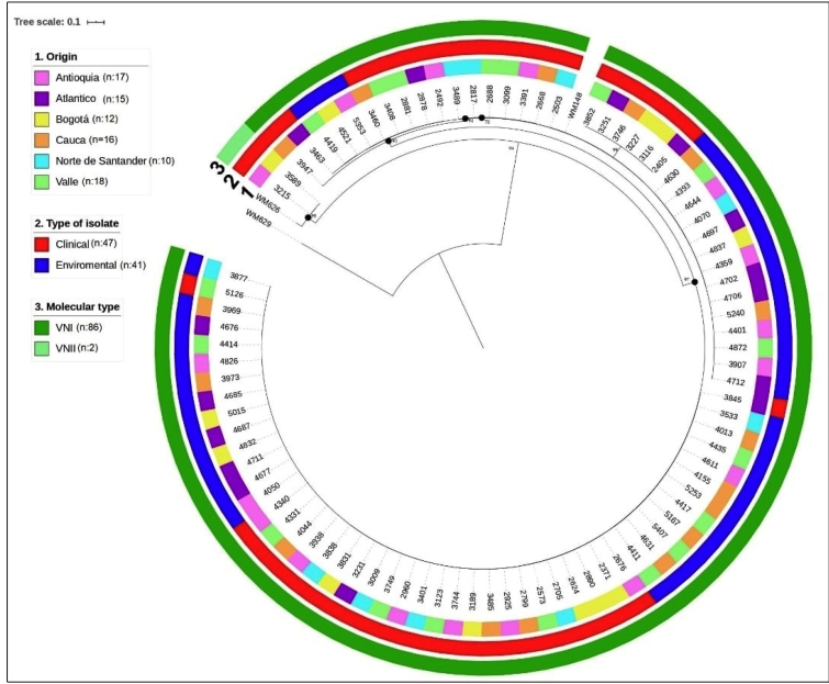 FIGURE 1: