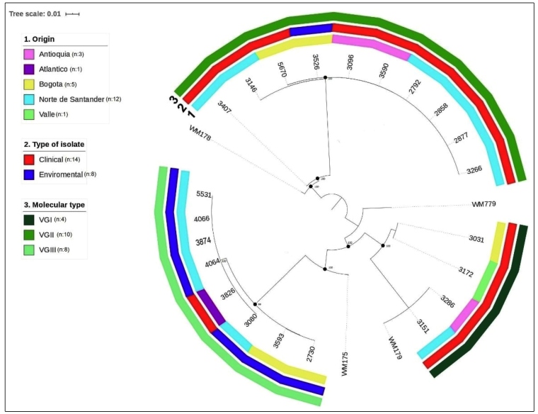 FIGURE 2: