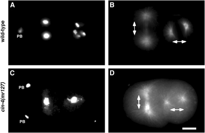 Figure 1.—