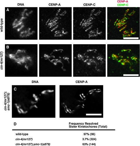 Figure 2.—