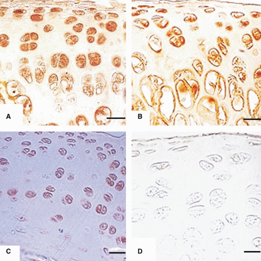 Fig. 18