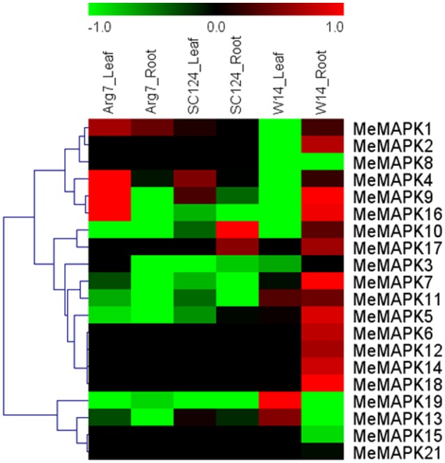 Figure 4