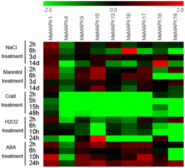 Figure 7