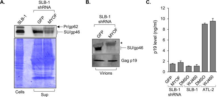 Fig 9